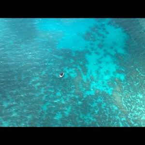 Meet your Posher, Charise